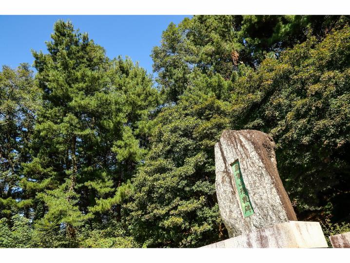 春내음 열번째 이야기 - 봉의산순의비